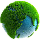 ecologia